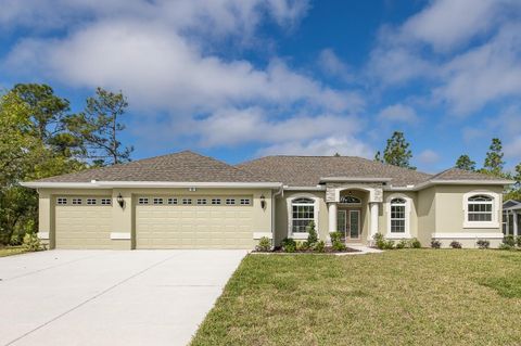 Photo of 36 Vinca Street, Homosassa, FL 34446 (MLS # TB8501935)