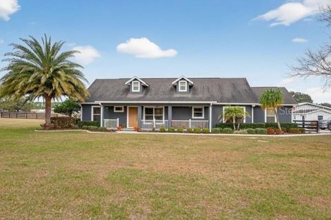 399 SE HIGHWAY 42 SUMMERFIELD FL 34491