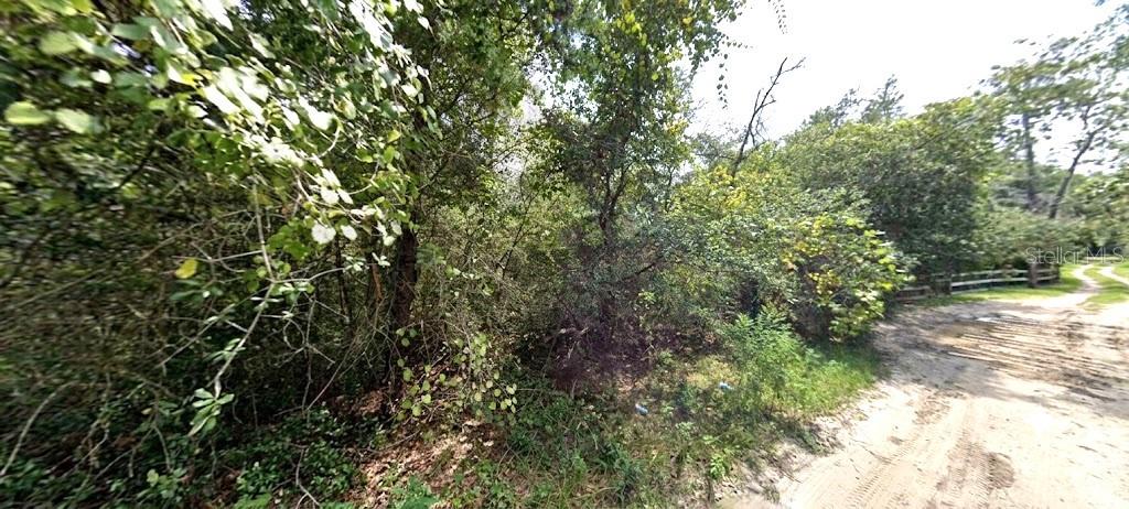 PINE VALLEY DRIVE