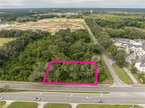 6974 POWELL ROAD WILDWOOD FL 34785