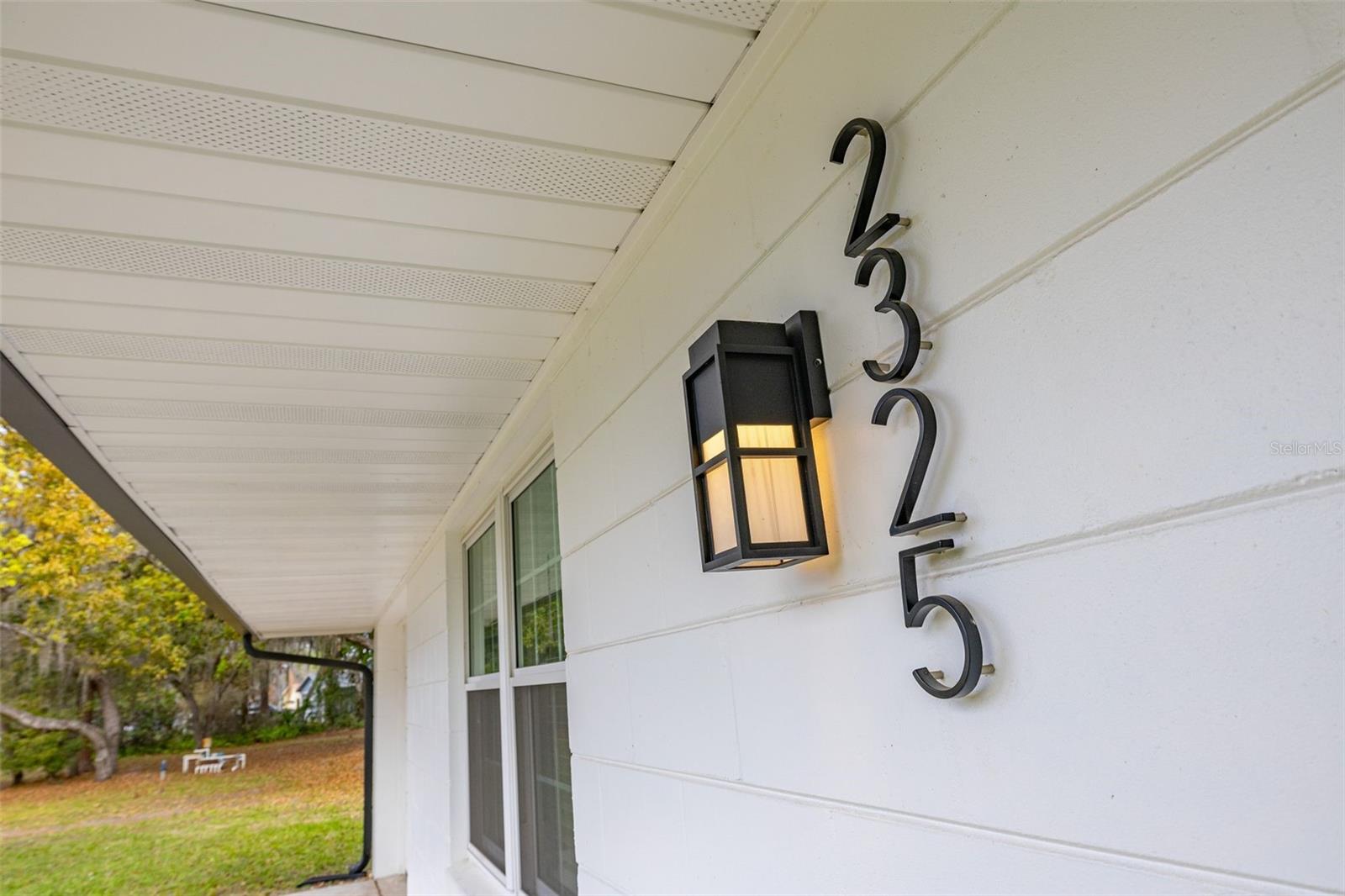 2325 LAKE LIZZIE COURT