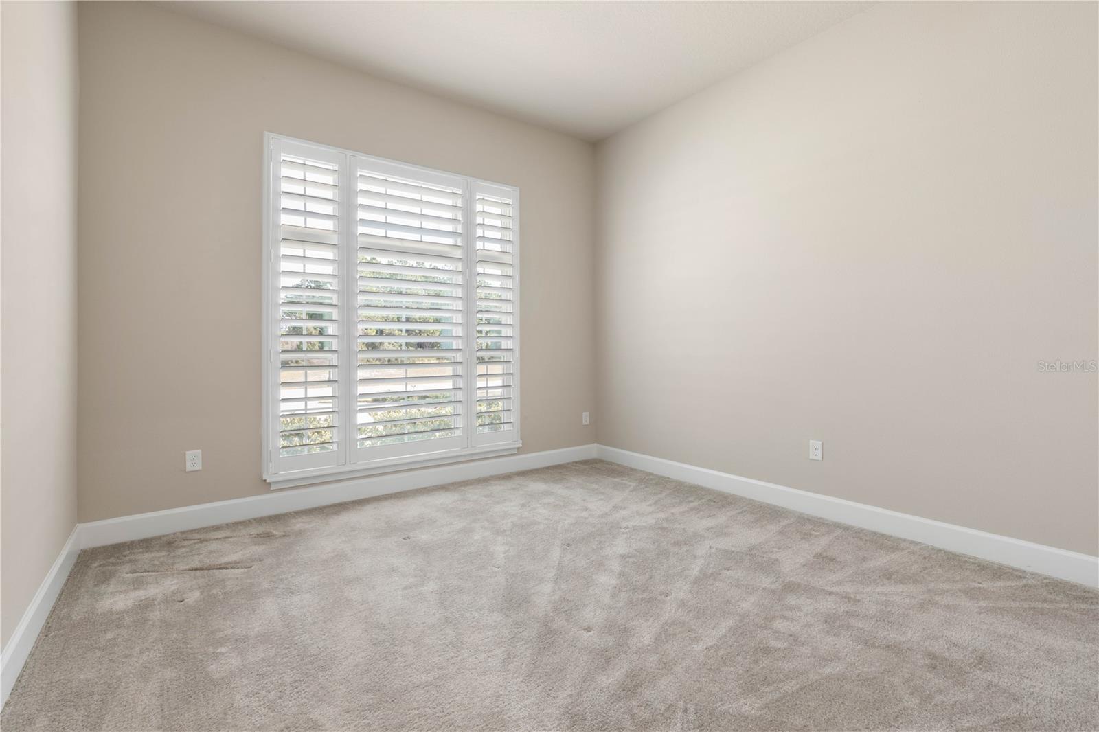 CONSERVATORY/HAMMOCK BEACH - Residential