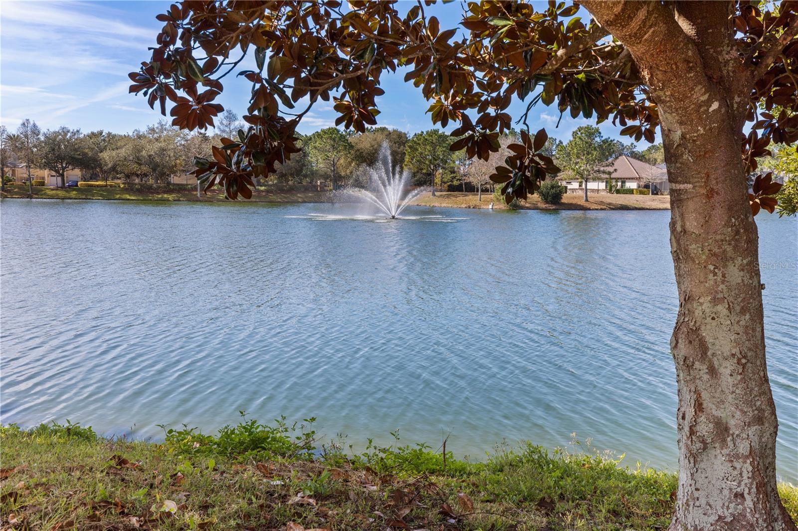 CONSERVATORY/HAMMOCK BEACH - Residential