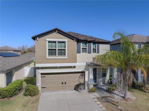 A home in WIMAUMA