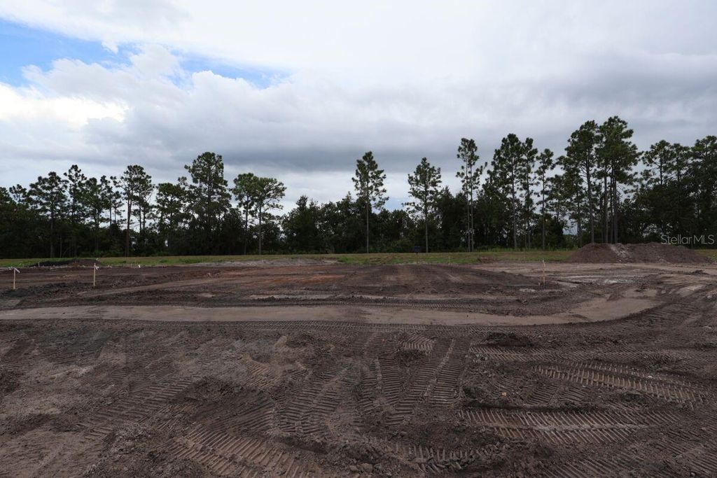 Photo of 5178 Prairie Preserve Run, Saint Cloud, FL 34772 (MLS # O6352527)