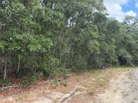 Tiny photo for 9328 N Rada Terrace, Dunnellon, FL 34434 (MLS # TB8518151)