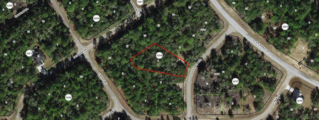 Photo of 9328 N Rada Terrace, Dunnellon, FL 34434 (MLS # TB8518151)
