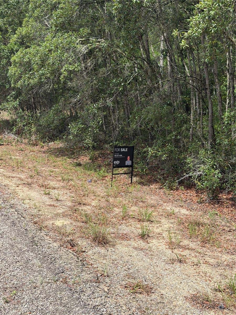 Photo of 9328 N Rada Terrace, Dunnellon, FL 34434 (MLS # TB8518151)