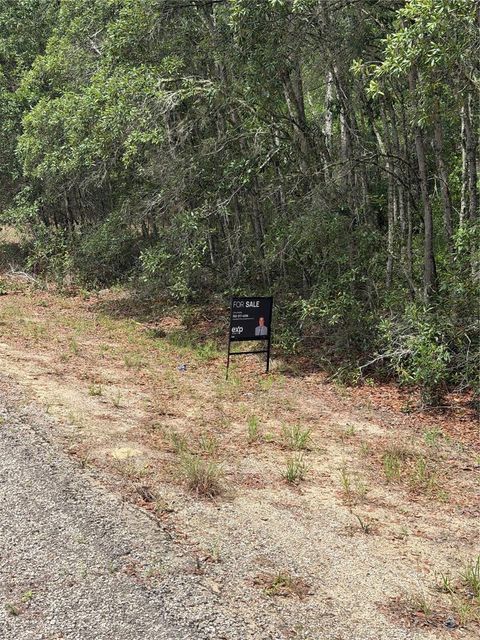 Tiny photo for 9328 N Rada Terrace, Dunnellon, FL 34434 (MLS # TB8518151)