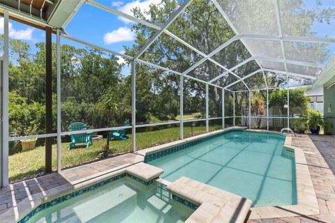 A home in PALM HARBOR