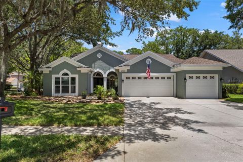 A home in PALM HARBOR