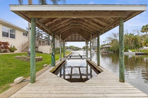 A home in PALM COAST