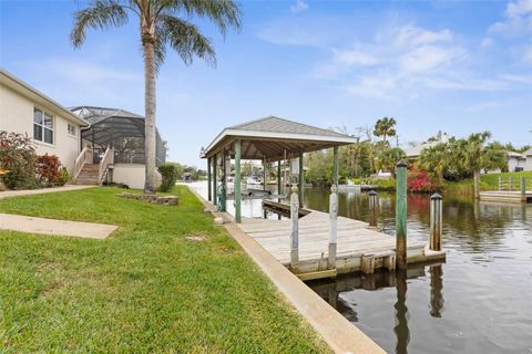 A home in PALM COAST