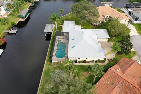 A home in PALM COAST