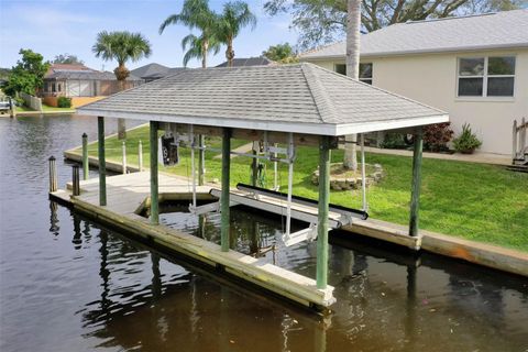 A home in PALM COAST