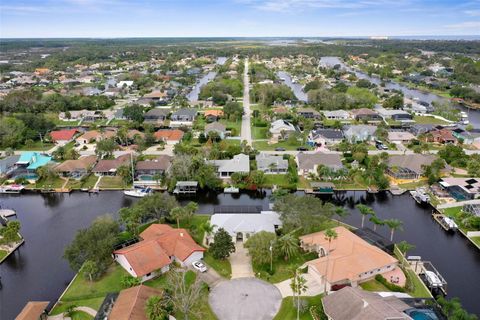 A home in PALM COAST