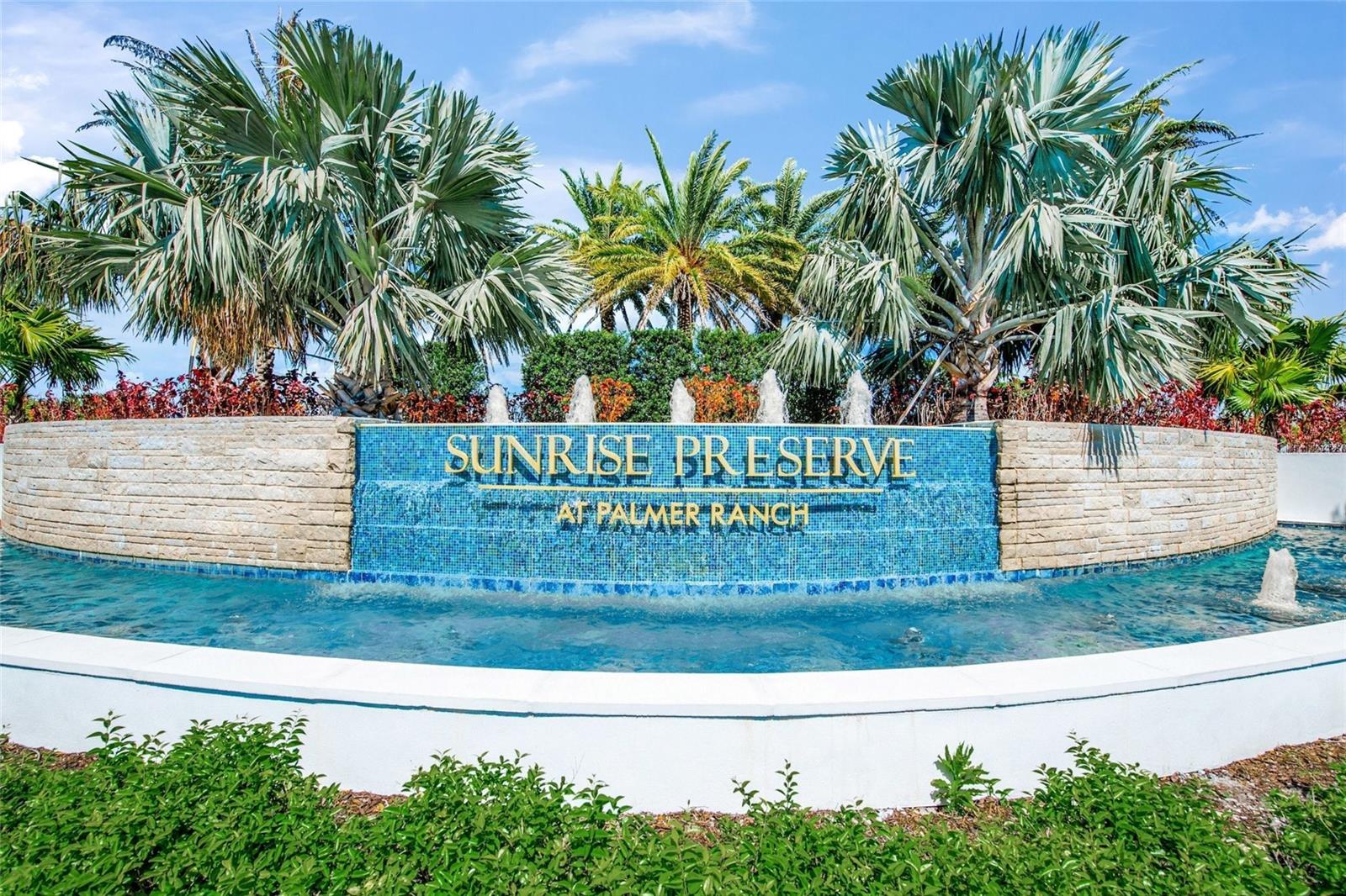 SUNRISE PRESERVE AT PALMER RANCH - Residential