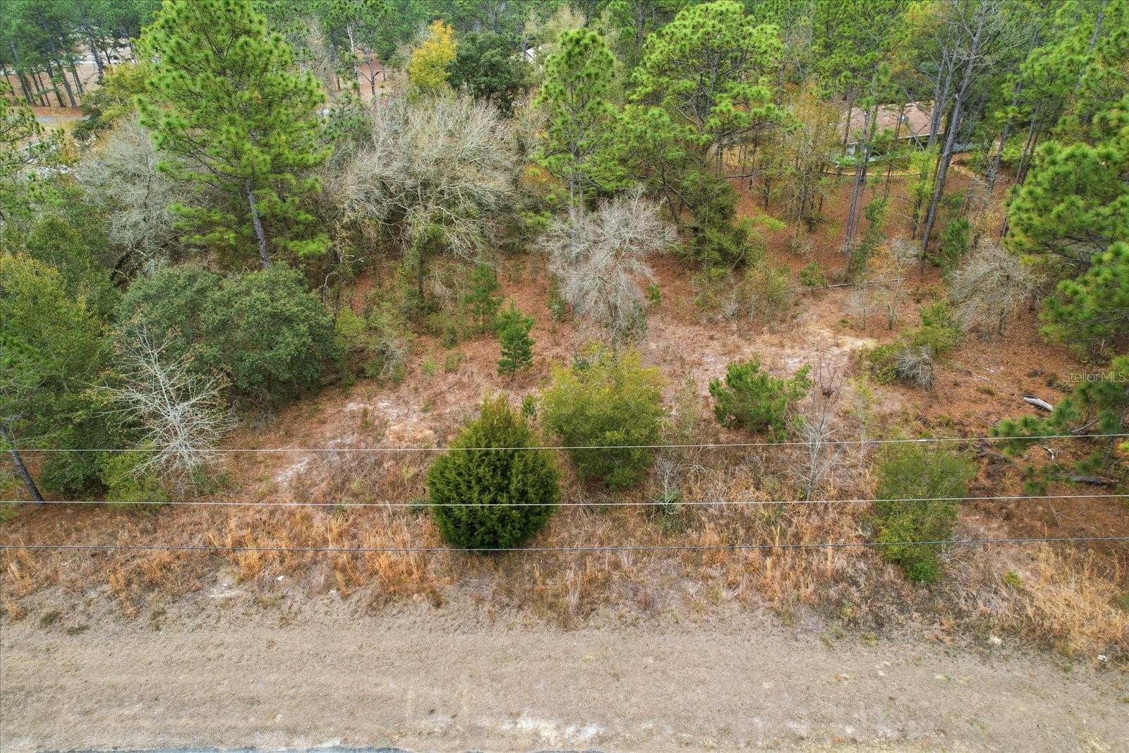 CITRUS SPGS UNIT 25 - Land