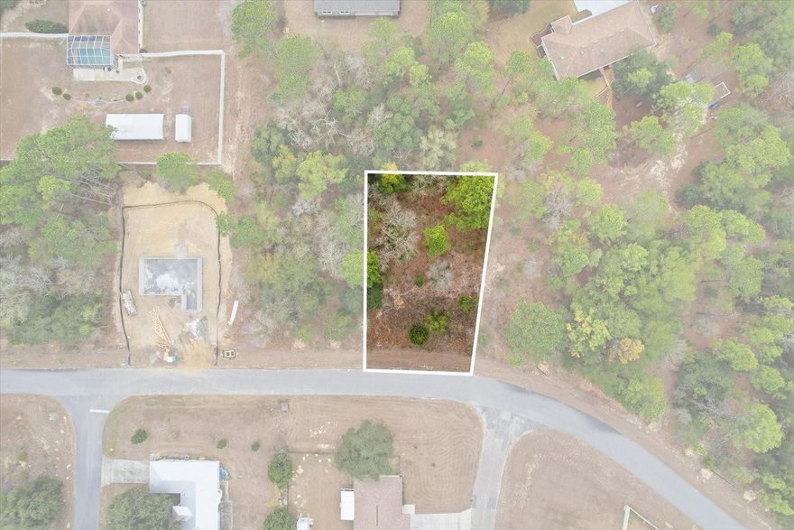 Prime lot with public water connection available and minimal tree clearing needed. 

This property offers convenient access to paved roads, nearby utilities, and a peaceful neighborhood surrounded by new and well-kept homes. Enjoy the quiet charm of Florida living while being just minutes from shopping, dining, schools, golf courses, and the Withlacoochee State Trail for biking and outdoor recreation.

Whether you’re looking to build now or invest for the future, this high and dry lot offers endless potential with no HOA fees and low property taxes. Don’t miss your chance to own a great piece of land in one of Citrus County’s most sought-after areas!

*Property outline is for illustration purposes only*