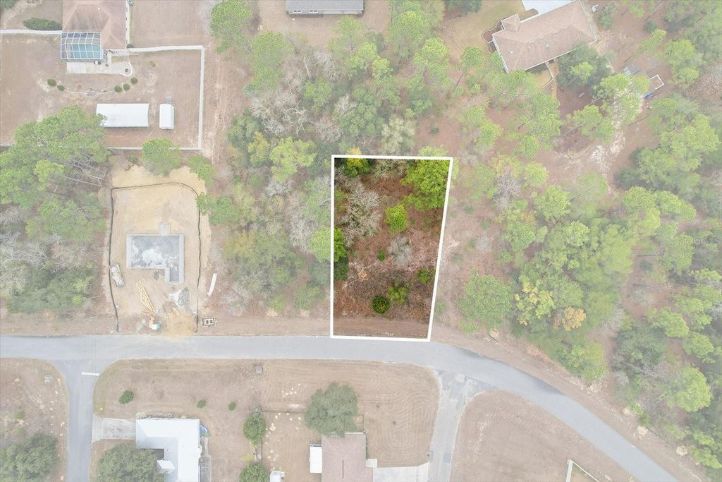 Photo of 2924 W Eunice Drive, Dunnellon, FL 34433 (MLS # TB8476087)