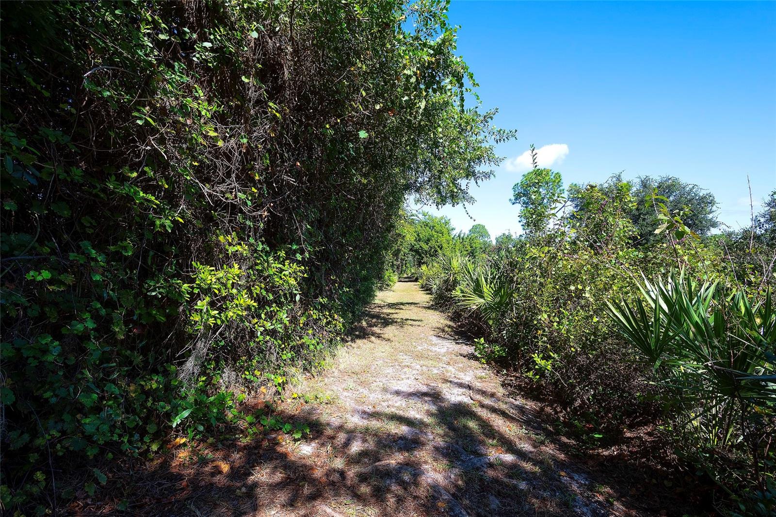 POMELLO CITY CENTRAL UNIT - Residential