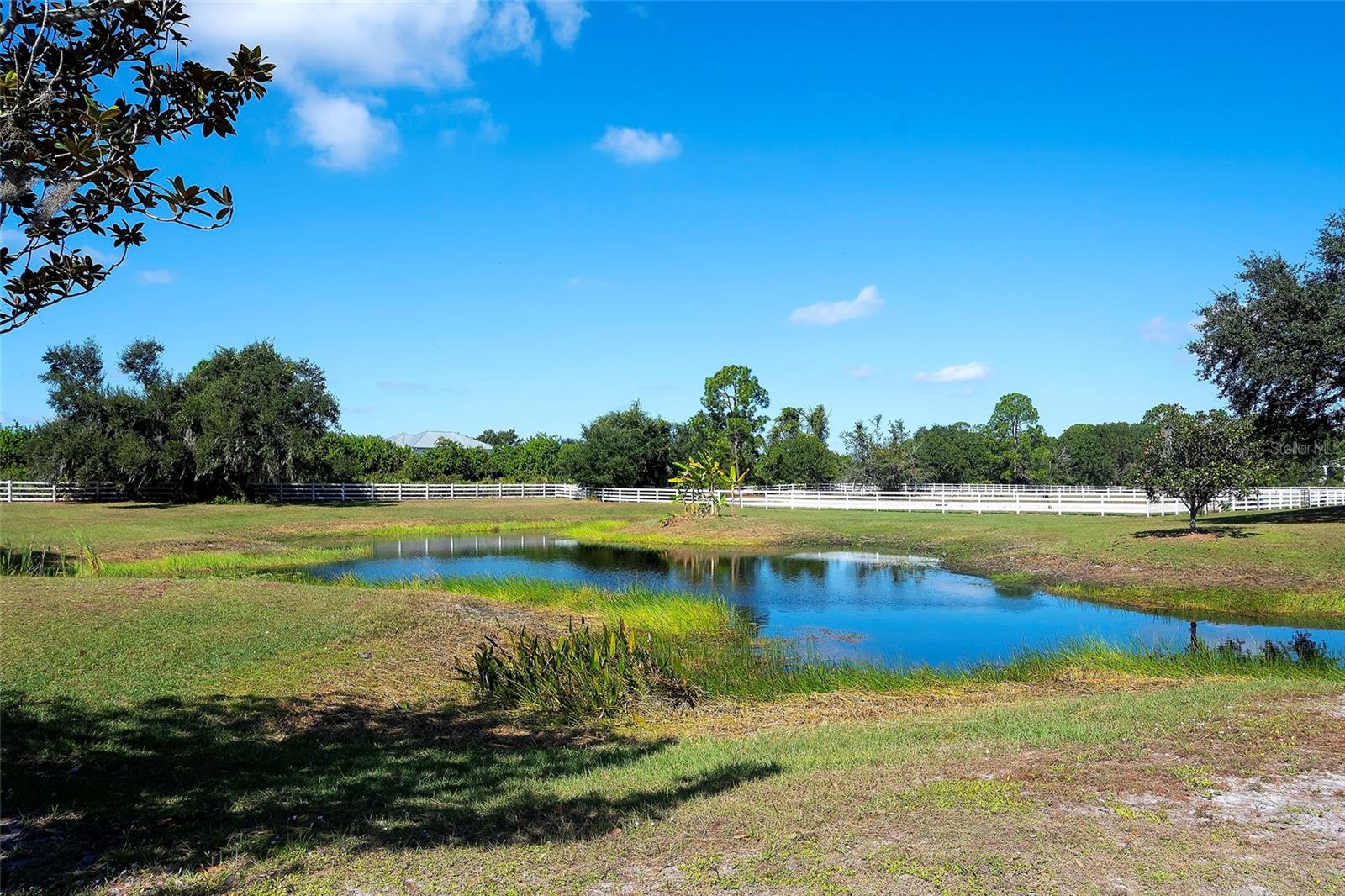 POMELLO CITY CENTRAL UNIT - Residential