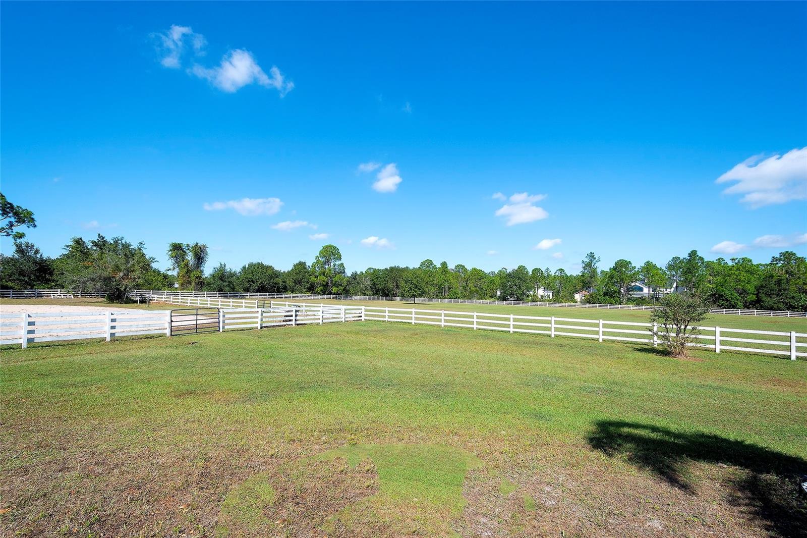 POMELLO CITY CENTRAL UNIT - Residential