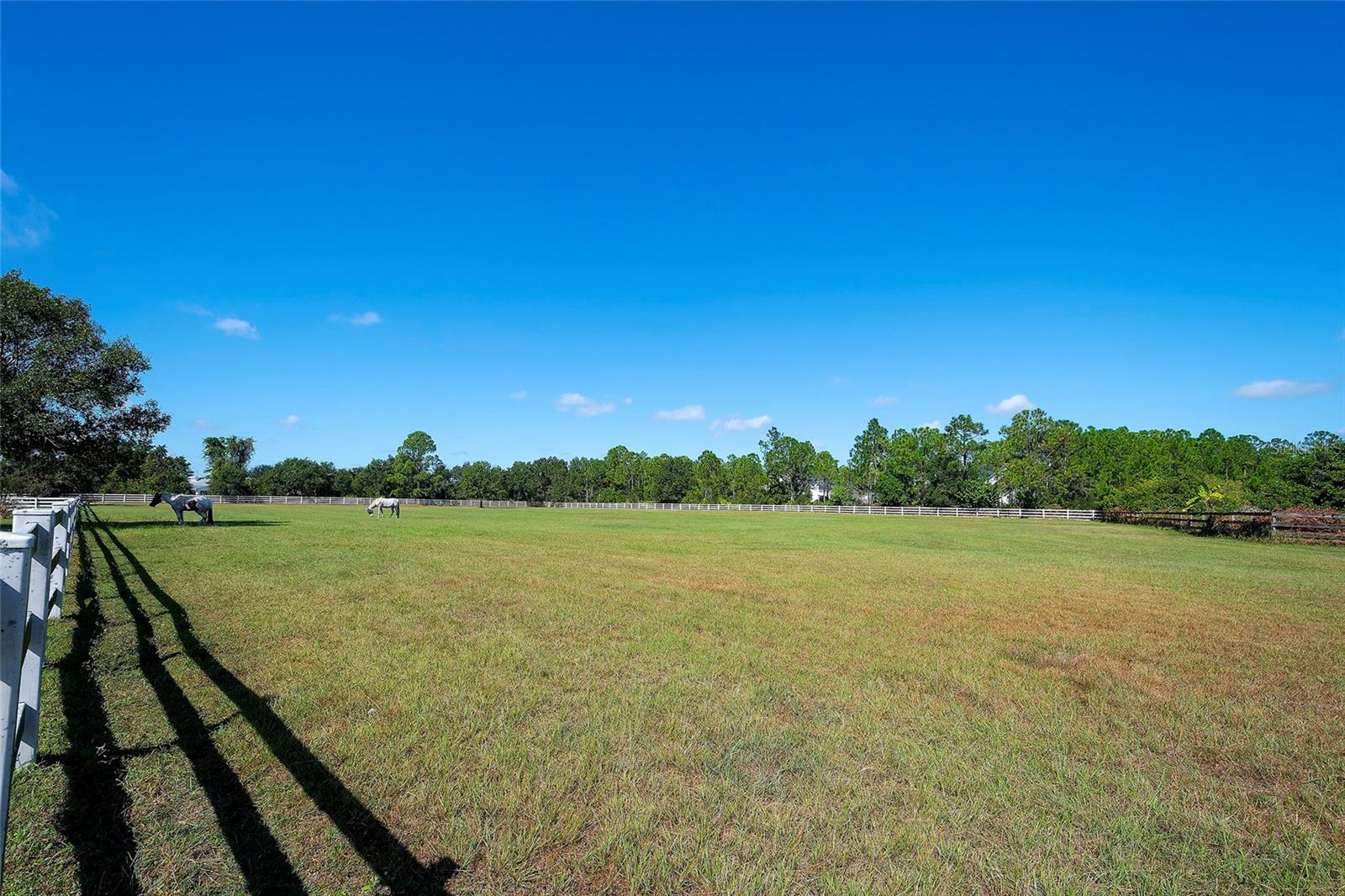 POMELLO CITY CENTRAL UNIT - Residential