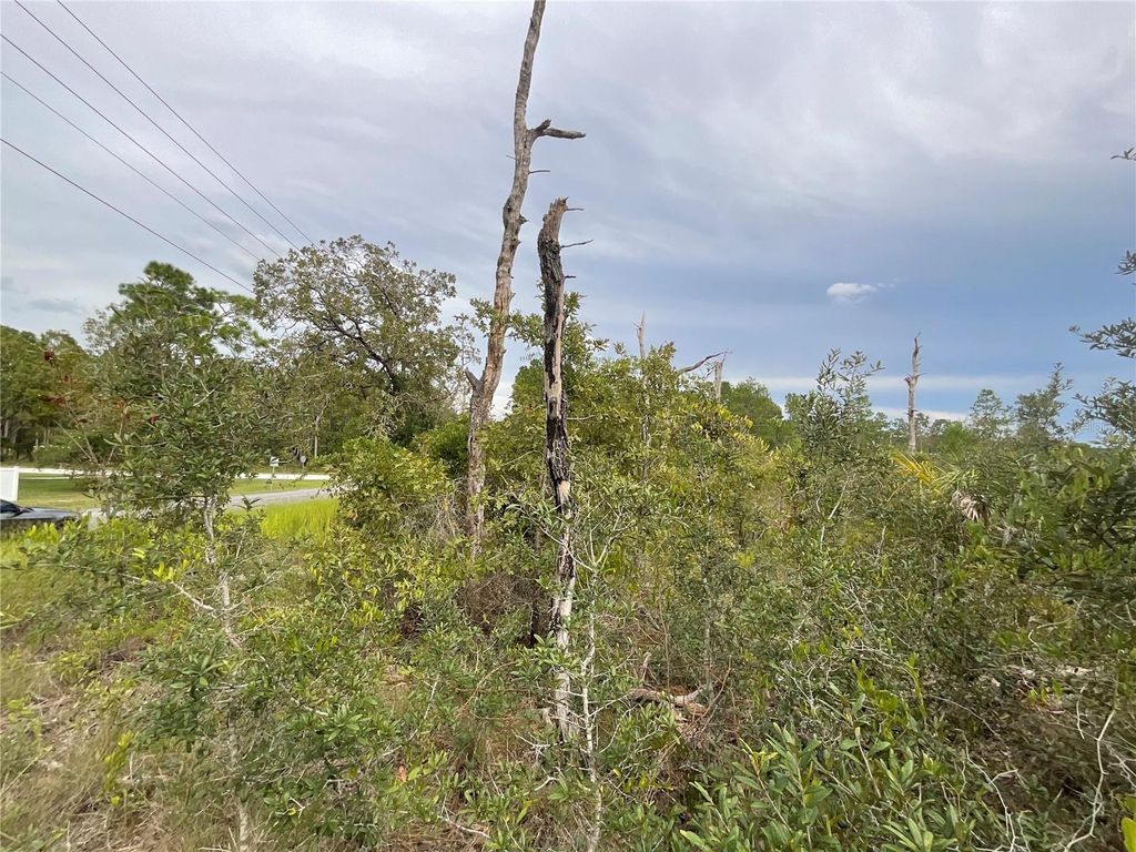 Photo of 13101 Thrasher Avenue, Weeki Wachee, FL 34614 (MLS # G5102176)