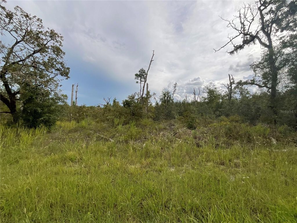 Photo of 13101 Thrasher Avenue, Weeki Wachee, FL 34614 (MLS # G5102176)