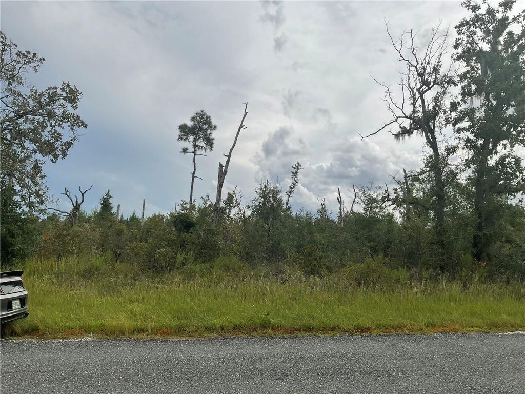 Photo of 13101 Thrasher Avenue, Weeki Wachee, FL 34614 (MLS # G5102176)