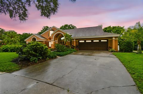 3308 LANDING PLACE PALM HARBOR FL 34684