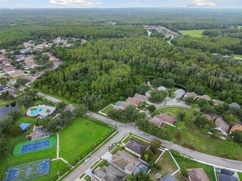 A home in LAND O LAKES