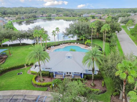 A home in LAND O LAKES