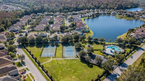 A home in LAND O LAKES