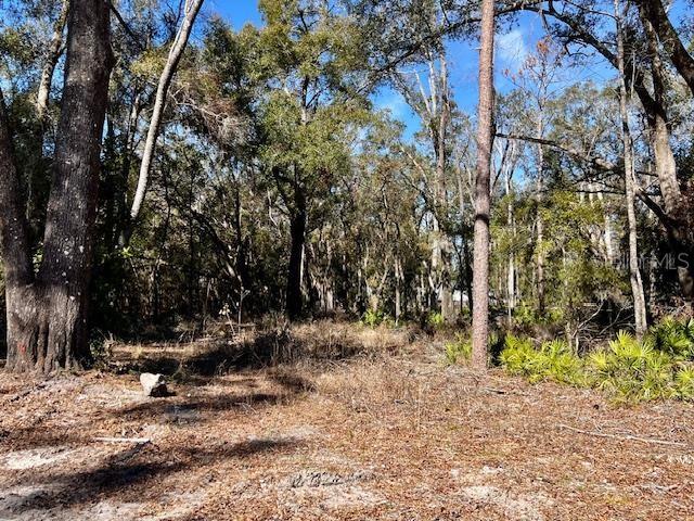 NOT IN SUBDIVISION - Residential