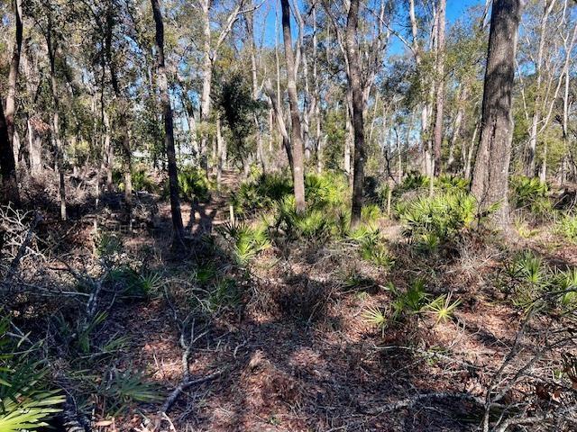 NOT IN SUBDIVISION - Residential