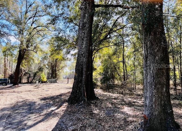 NOT IN SUBDIVISION - Residential