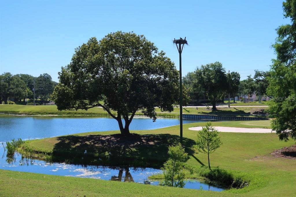 HIGHLAND LAKES MISSION GROVE CONDO - Residential