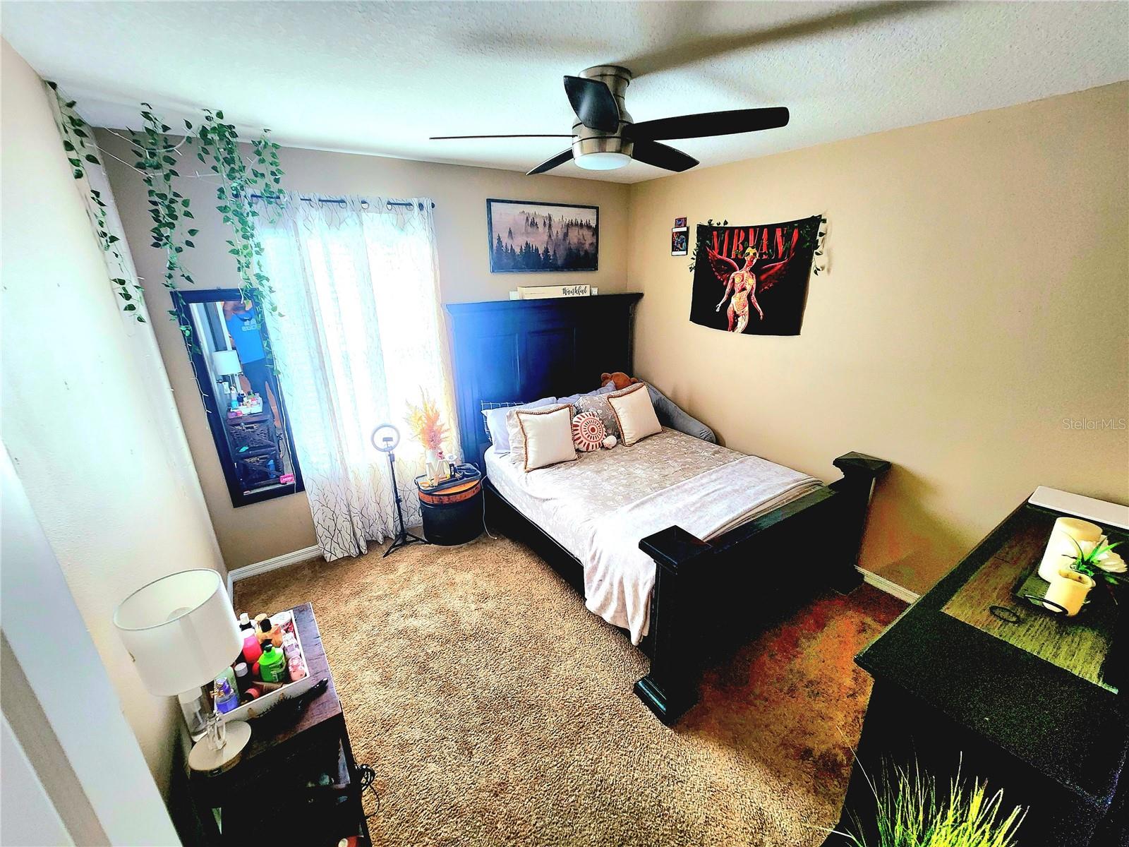 DEL TIERRA PH IV-B & IV-C - Residential