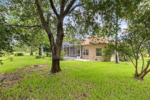 A home in PALM COAST