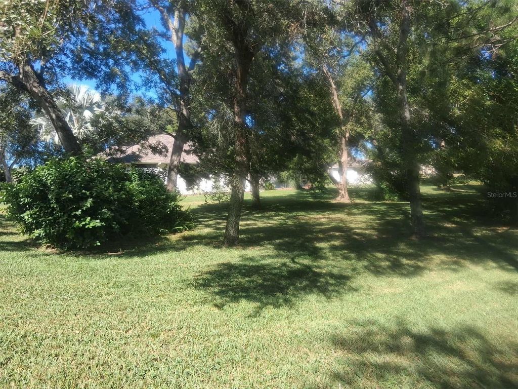 Photo of 11355 Orangewood Court, Spring Hill, FL 34609 (MLS # A4668701)