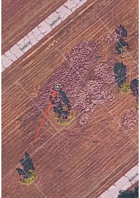 12394 CORBINA COURT PLACIDA FL 33946