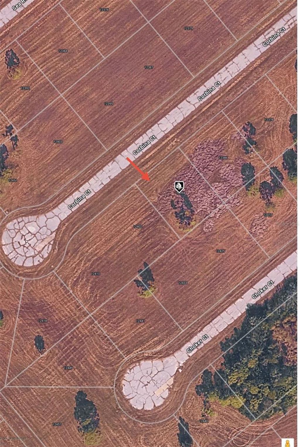 Photo of 12394 Corbina Court, Placida, FL 33946 (MLS # O6384362)