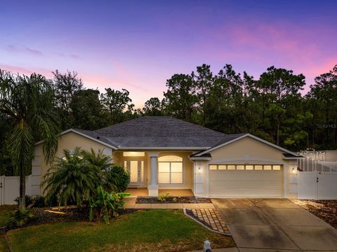 A home in SPRING HILL