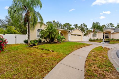 A home in SPRING HILL