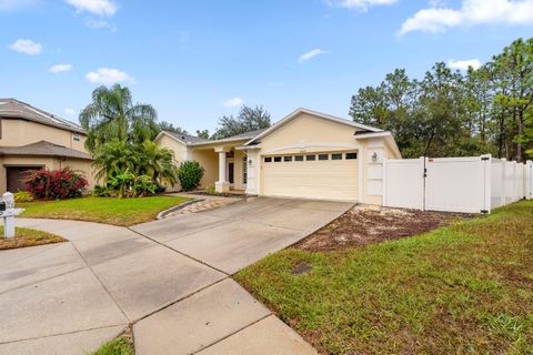 A home in SPRING HILL