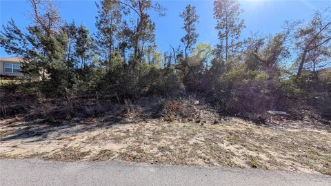 13014 HANLEY DRIVE SPRING HILL FL 34609