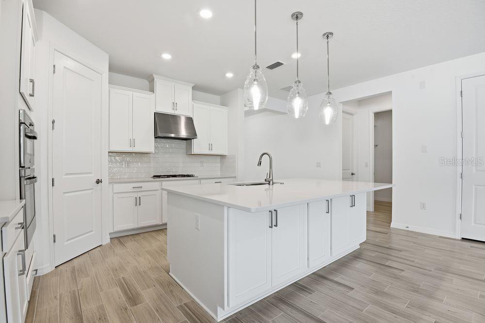 597 MOON SHELL CIRCLE