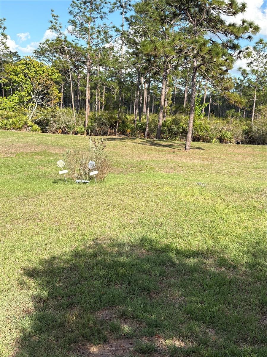 CANAVERAL ACRES 2 - Residential